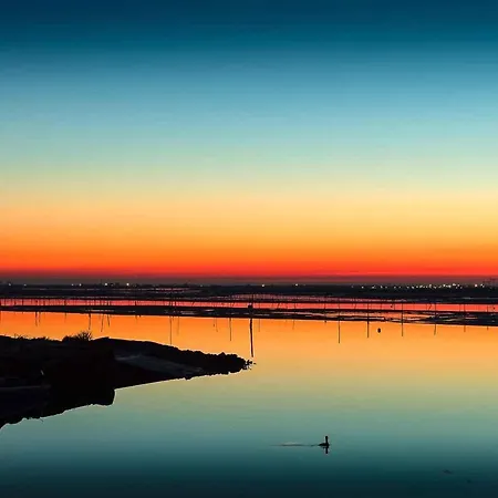 In 24927 Rosolina Mare